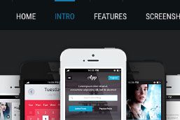 onepage11