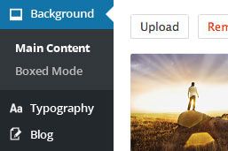 theme_option_v5
