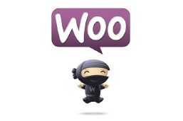 woo_commerce_sm1
